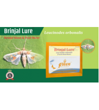 Brinjal Pheromone Lure for Brinjal Fruit & Shoot Borer